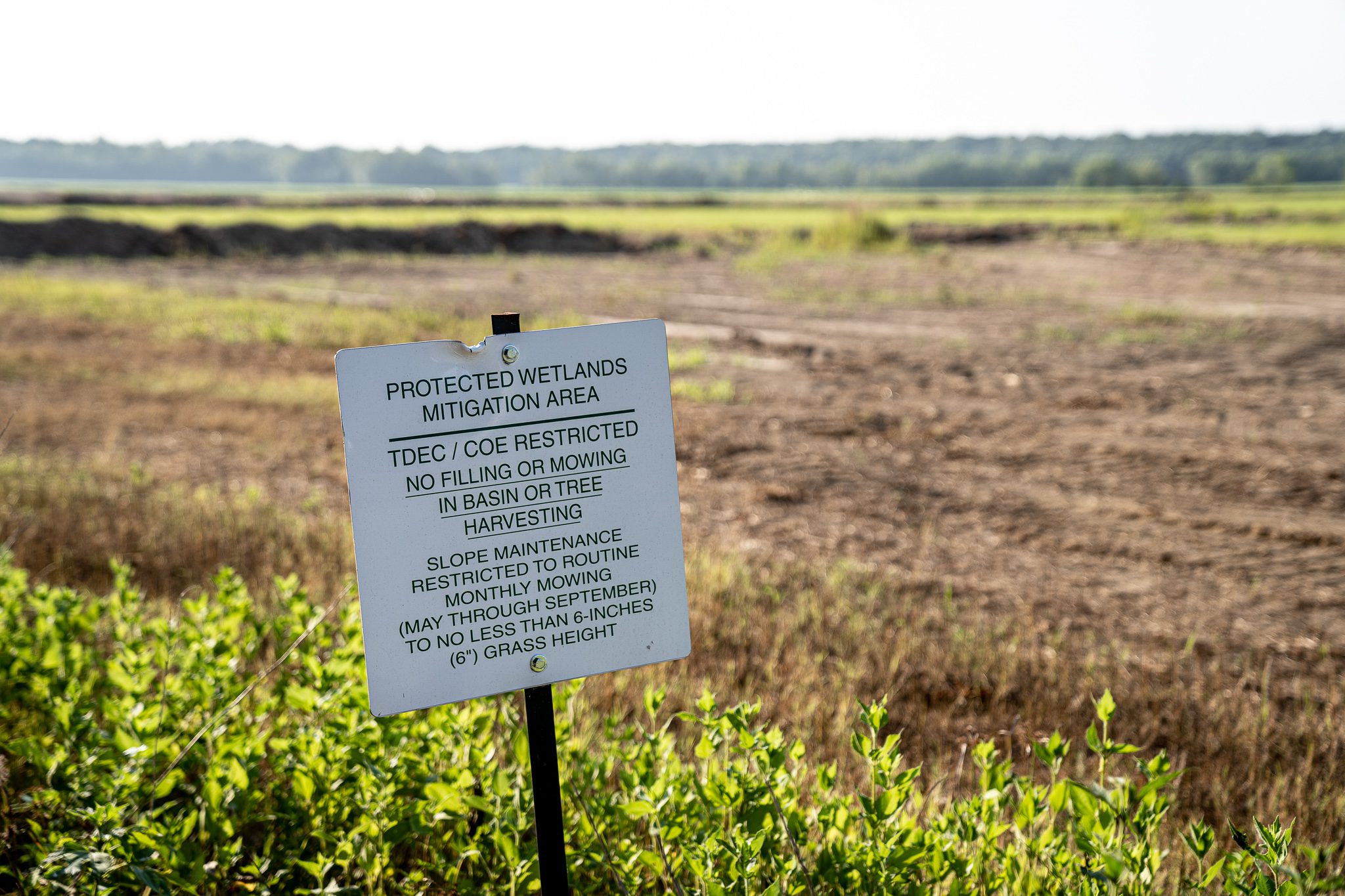 Mitigation Bank Marks New Era for Millington Farmland Memphis Stone
